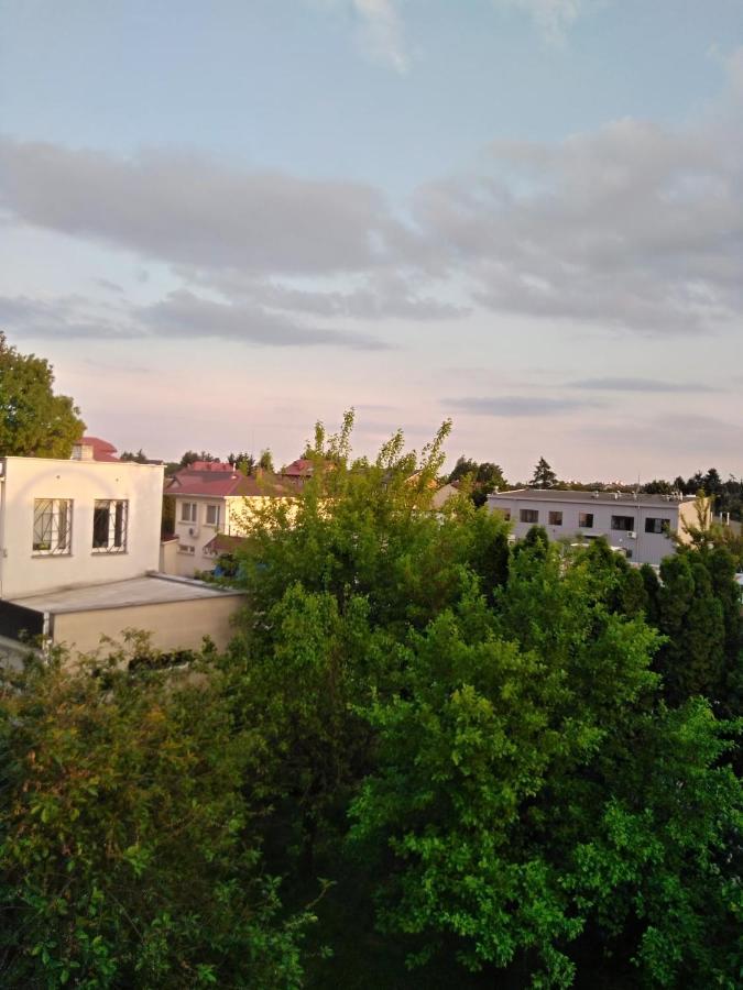 La Madriguera Bed and Breakfast Raszyn Buitenkant foto