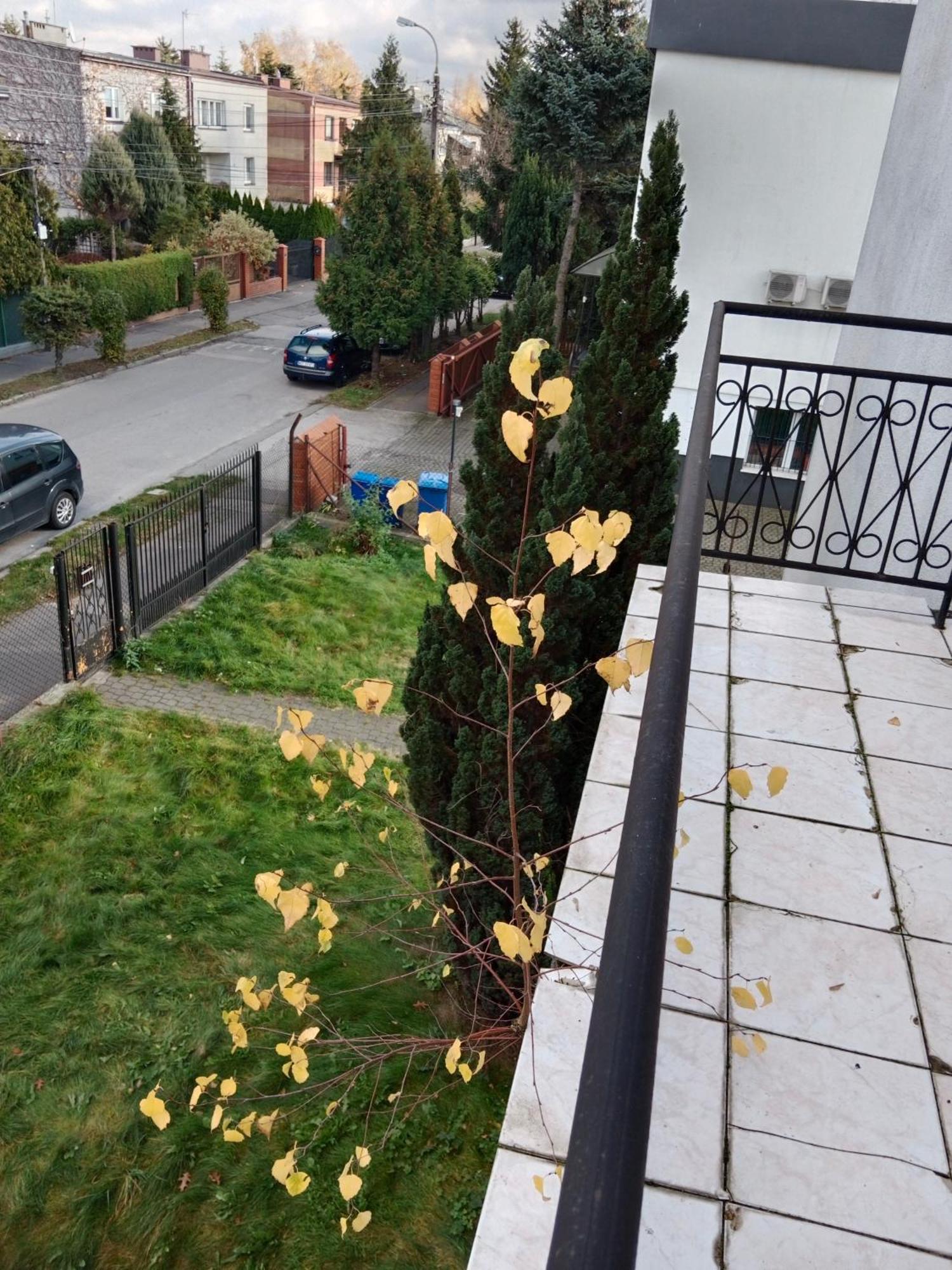 La Madriguera Bed and Breakfast Raszyn Buitenkant foto